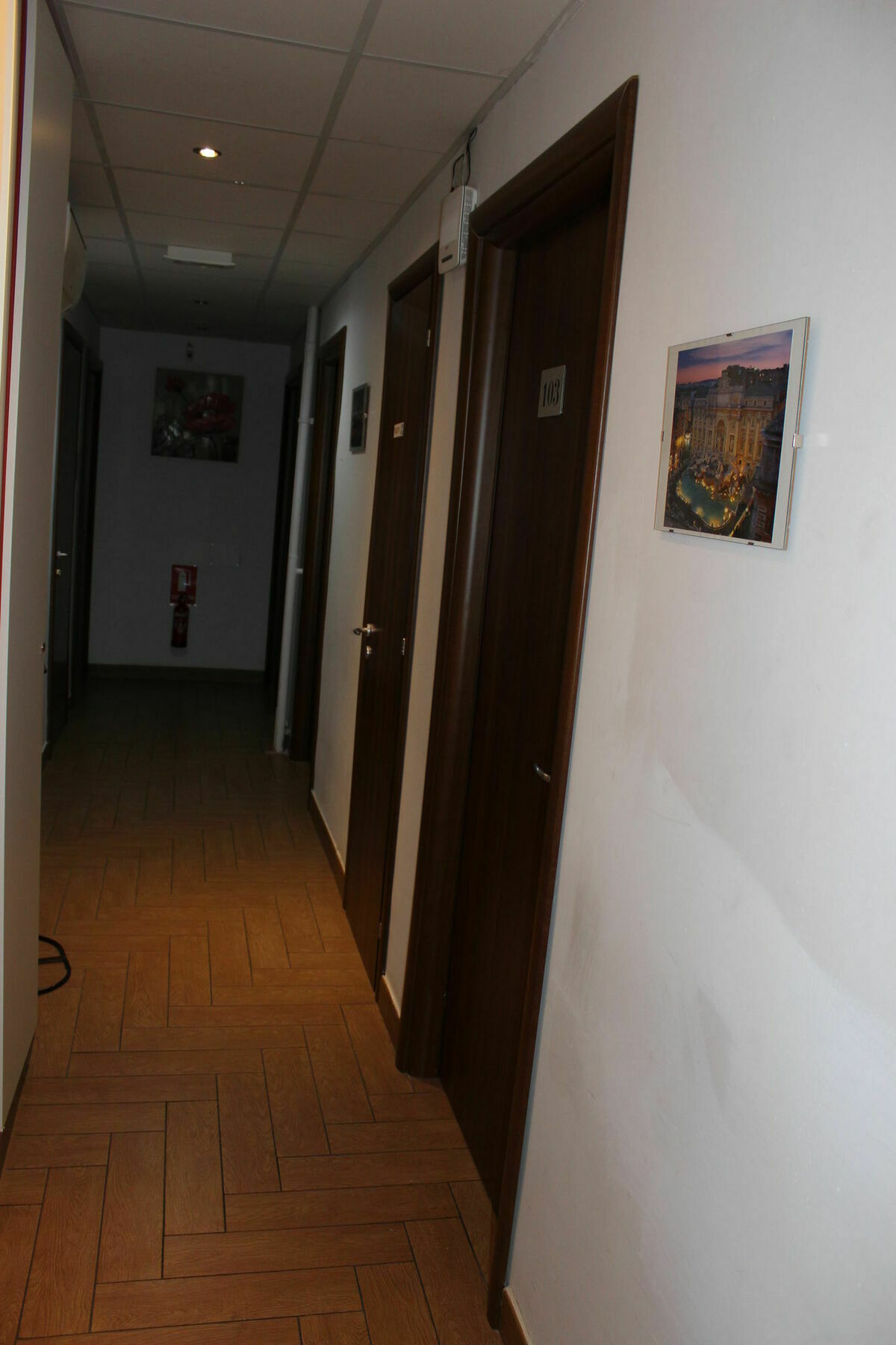 Mr. Charlie Brown Hotel Rome Bagian luar foto