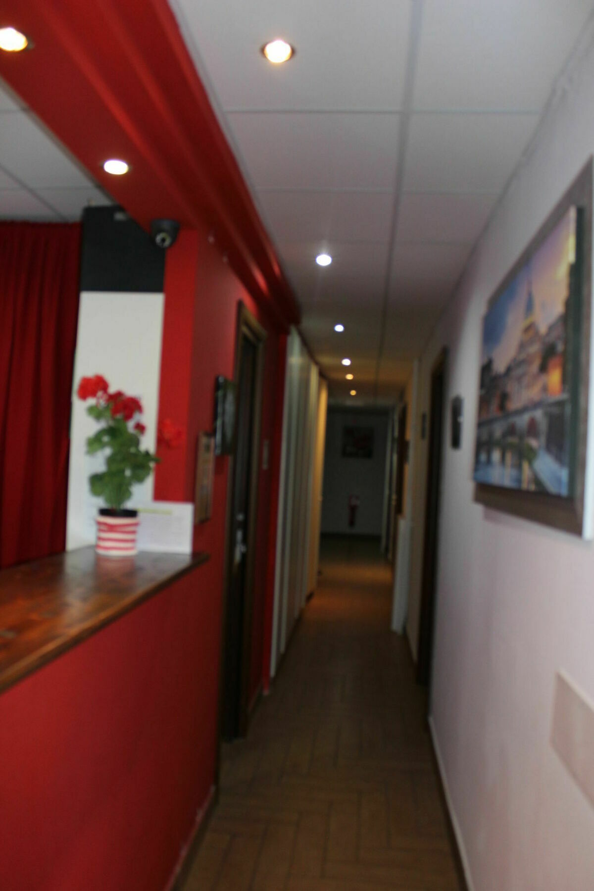 Mr. Charlie Brown Hotel Rome Bagian luar foto